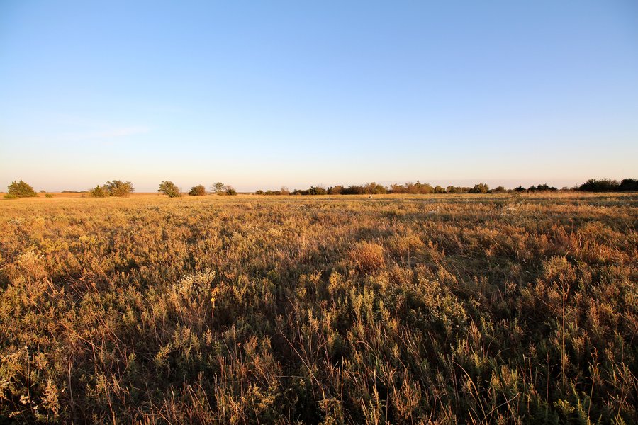 LAND AUCTION - 160+/- ACRES OFFERED IN 2 TRACTS IN GARFIELD COUNTY, OKLAHOMA